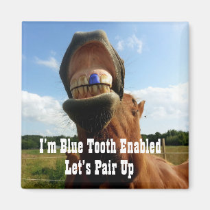 Blue Tooth Enabled Horse Magneet
