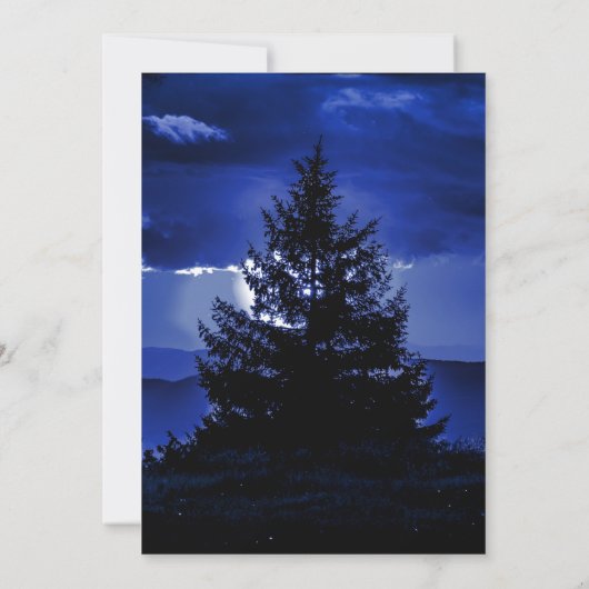 Blue Tree Twinkle Lights Weddenschap Kaart (Achterkant)