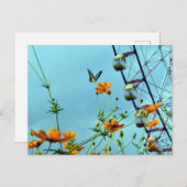 Blue Triangle Butterfly & Cosmos Flowers: Japan Briefkaart (Voorkant / Achterkant)