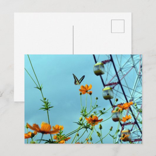 Blue Triangle Butterfly & Cosmos Flowers: Japan Briefkaart (Voorkant / Achterkant)