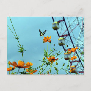 Blue Triangle Butterfly & Cosmos Flowers: Japan Briefkaart