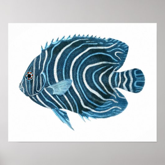 Blue Tropical Fish Print no.1 (Voorkant)