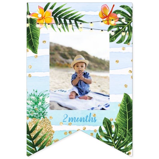 Blue Tropical Monthly Photo Bunting Flags Vlaggetjes (Derde vlag)