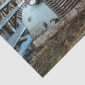  Blue Truck Rustic Barn Tissuepapier (Detail)