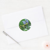 Blue Twin Parrots Ronde Sticker (Envelop)