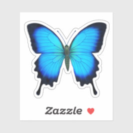 Blue Ulysses Swallowtail Butterfly Contour Sticker