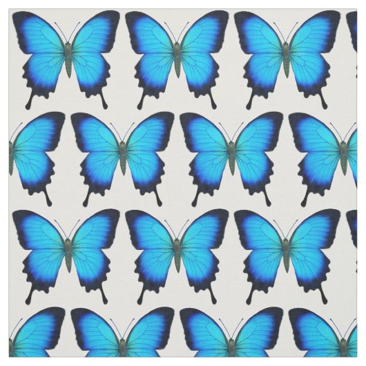 Blue Ulysses Swallowtail Butterfly Fabric Stof (Swatch)