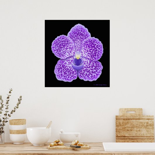 Blue Vanda Orchid Bloom Print (Keuken)