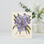 Blue Vanda Orchid  Botanical Briefkaart (Staand voorkant)