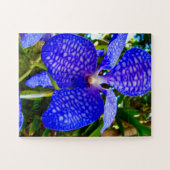 Blue Veins | Vanda Orchid for Alzheimer’s Awarenes Legpuzzel (Horizontaal)