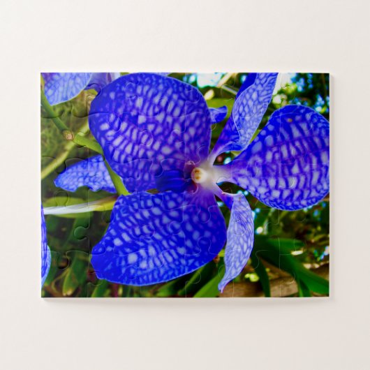 Blue Veins | Vanda Orchid for Alzheimer’s Awarenes Legpuzzel (Horizontaal)