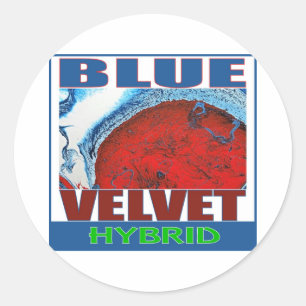 BLUE VELVET HYBRID RONDE STICKER
