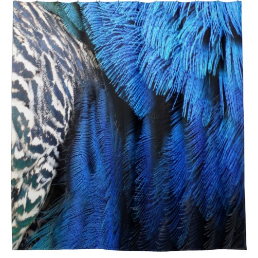Blue Velvet Peacock Feathers Douchegordijn (Voorkant)