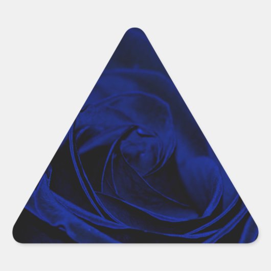 Blue Velvet roos.jpg Sticker (Voorkant)