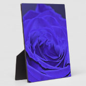 Blue Velvet Rose Fotoplaat (Zijkant)
