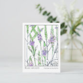 Blue Vervain Materia Medica Herbal Study Kaart (Staand voorkant)