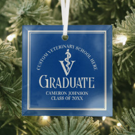 Blue Veterinary School Afstuderen Kerst Glas Ornament