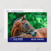 Blue Viking briefkaart (Voorkant / Achterkant)