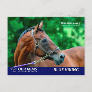 Blue Viking briefkaart
