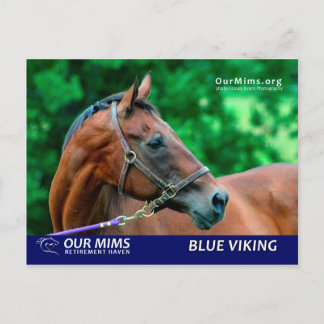 Blue Viking briefkaart