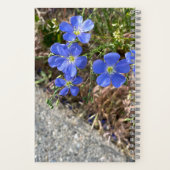 Blue Violet Flower Journal Notitieboek (Achterkant)