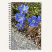 Blue Violet Flower Journal Notitieboek (Voorkant)
