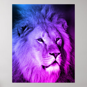 Blue Violet Lion - Dierenfotografie Kunst Poster