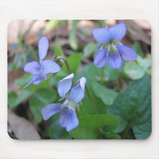 Blue Violets Mousepad Muismat (Voorkant)