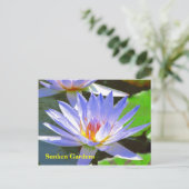 Blue water Lily #106N 0106 Briefkaart (Staand voorkant)