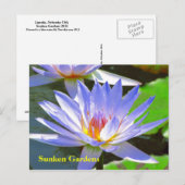 Blue water Lily #106N 0106 Briefkaart (Voorkant / Achterkant)
