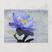 Blue Water Lily briefkaart (Voorkant)