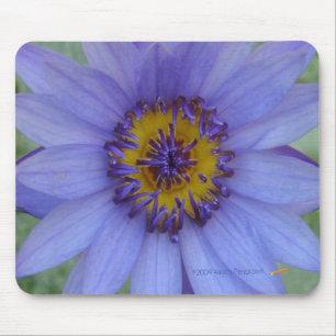 Blue Water Lily Mousepad Muismat