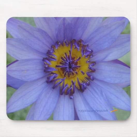 Blue Water Lily Mousepad Muismat (Voorkant)