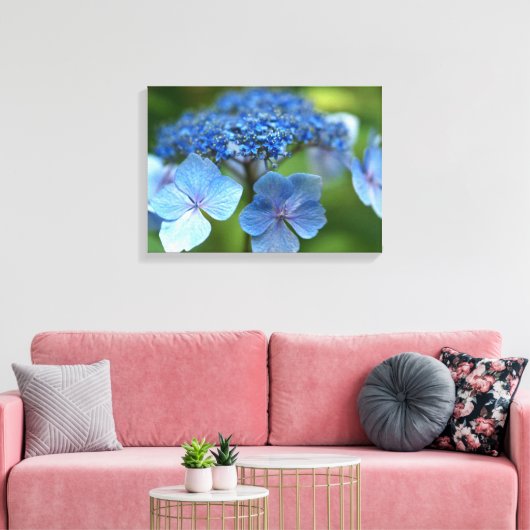 Blue Wave Lacecap Hortensia Canvas Afdruk (Insitu (Woonkamer))