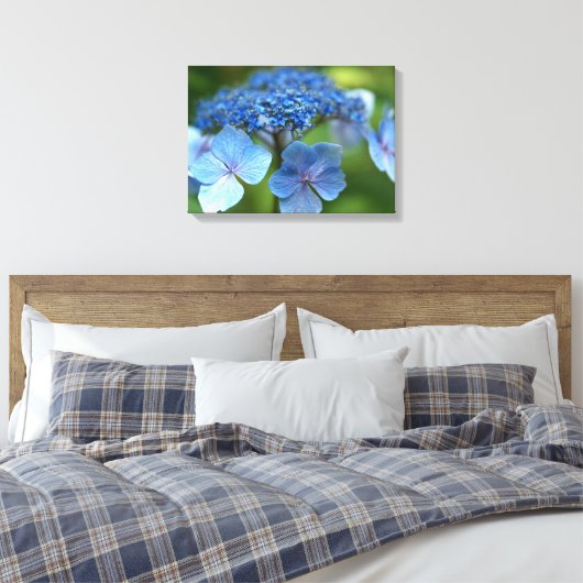 Blue Wave Lacecap Hortensia Canvas Afdruk (Insitu (Slaapkamer))