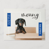 Blue We verplaatsen Dachshund Dog in Box Briefkaar Briefkaart (Voorkant)