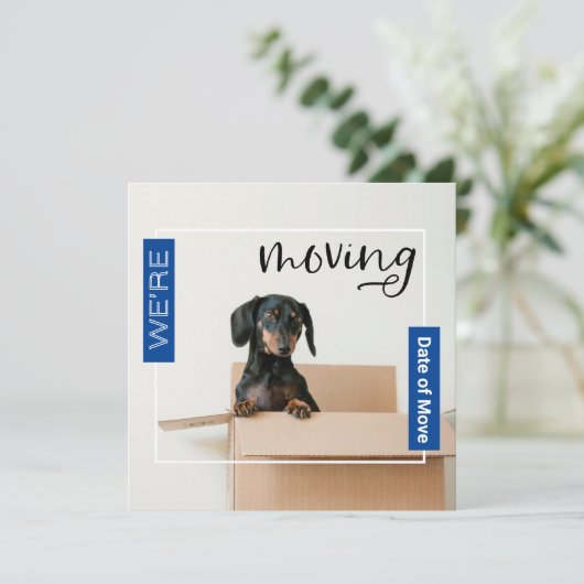 Blue We verplaatsen Dachshund Dog in Box Kaart (Staand voorkant)