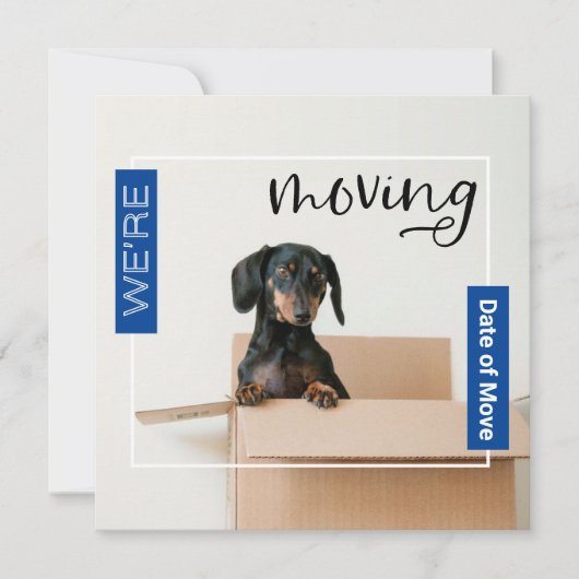 Blue We verplaatsen Dachshund Dog in Box Kaart (Voorkant)