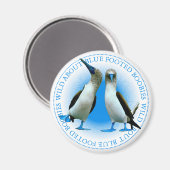 Blue Webbed Foot Birds Galapagos Islands Souvenir Magneet (Voorkant / Achterkant)
