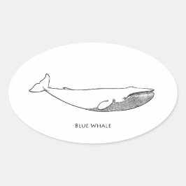 Blue Whale Illustratie (lijntekening) Ovale Sticker