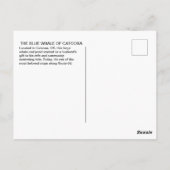 Blue Whale of Catoosa on Route 66 Postcard Briefkaart (Achterkant)