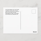 Blue Whale of Catoosa Route 66 Postcard Briefkaart (Achterkant)