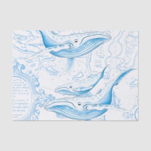 Blue Whales Family White Tissuepapier (Voorkant)