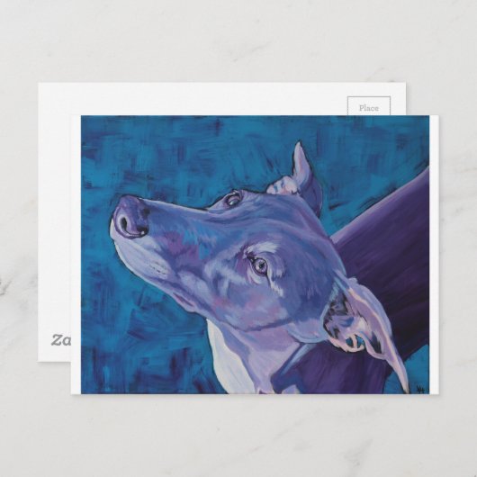 Blue Whippet Briefkaart (Voorkant / Achterkant)