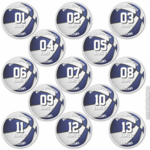 blue white basketbal spelnamen sticker