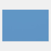 Blue White Polka Dot Stripes Inpakpapier Vel (Voorkant 3)