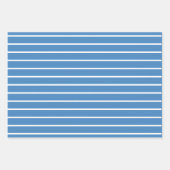 Blue White Polka Dot Stripes Inpakpapier Vel (Voorkant 2)