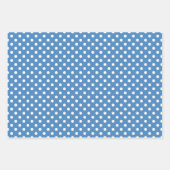 Blue White Polka Dot Stripes Inpakpapier Vel (Voorkant)