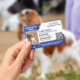 Blue White Service Dog Foto ID QR-code Badge