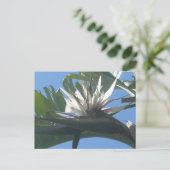 Blue White Strelitzia Flower DIY Briefkaart (Staand voorkant)